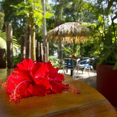 Villas Del Caribe Puerto Viejo de Talamanca Dış mekan fotoğraf