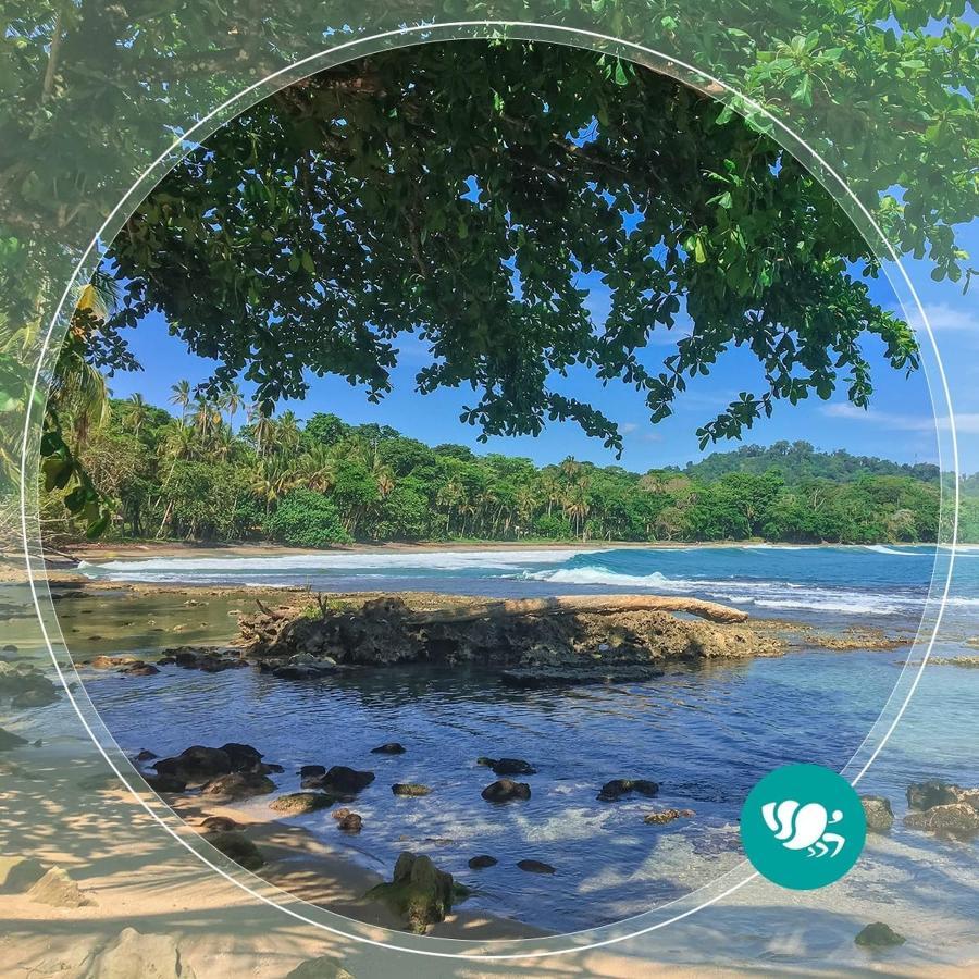Villas Del Caribe Puerto Viejo de Talamanca Dış mekan fotoğraf