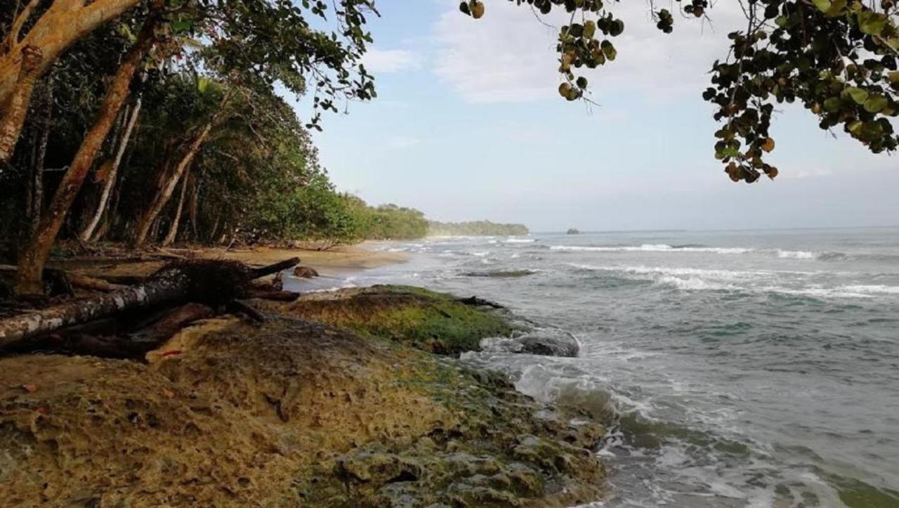 Villas Del Caribe Puerto Viejo de Talamanca Dış mekan fotoğraf
