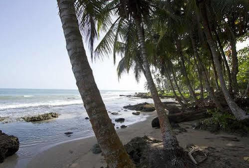 Villas Del Caribe Puerto Viejo de Talamanca Dış mekan fotoğraf